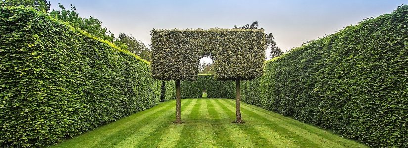 Frühjahrsputz im Garten