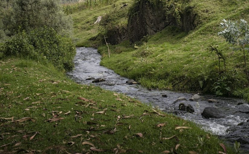 Neubau und Entwicklung von naturnahen Bachläufen