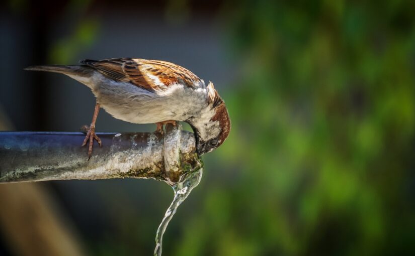 Wasser abstellen